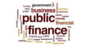 Chapter 5: Public Finance
